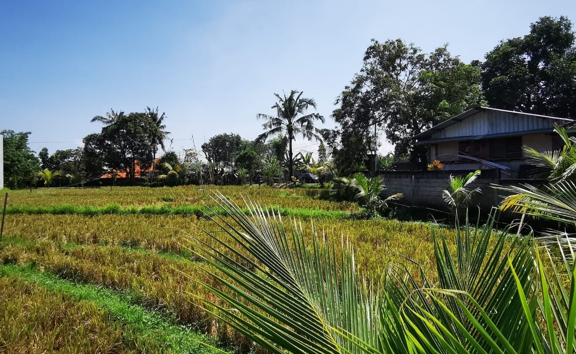 Canggu land for sale