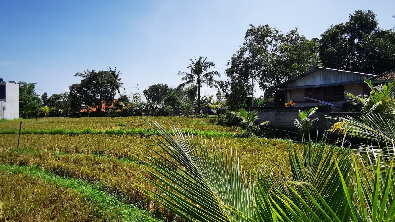 Canggu land for sale