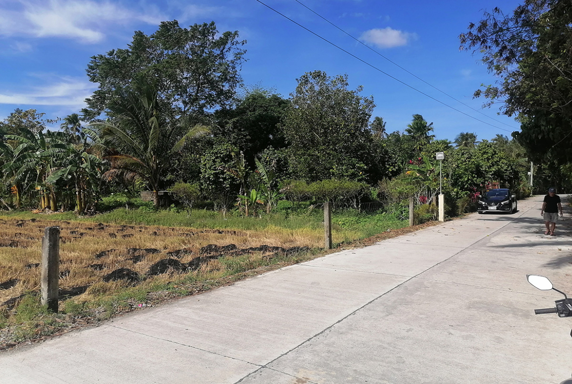 Oriental Mindoro Farm Land For Sale