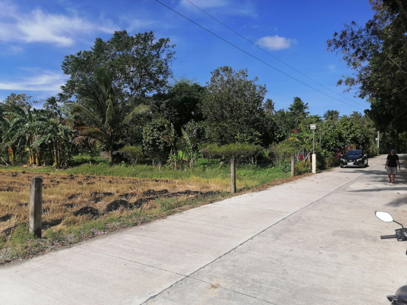 Oriental Mindoro Farm Land For Sale